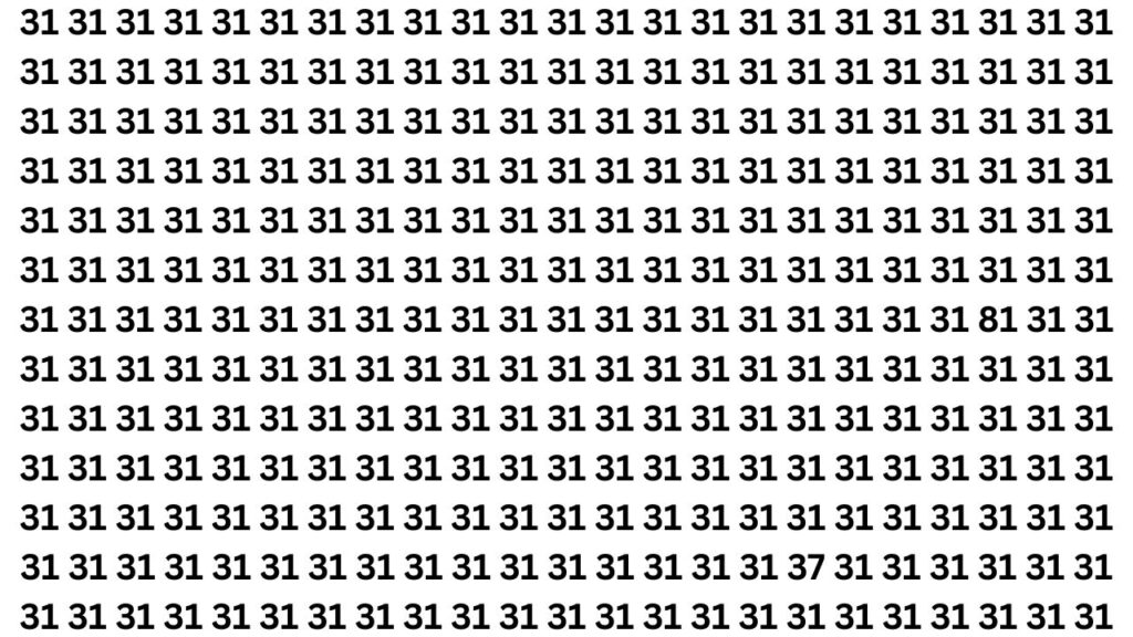 Spot the Numbers 37 and 81